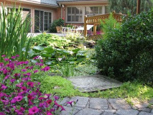 Ponds 9.jpg