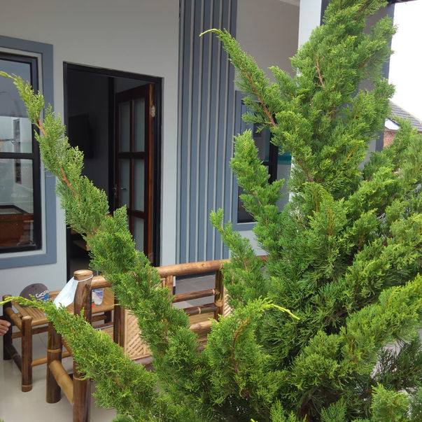 Ranca Bayongbong Indah