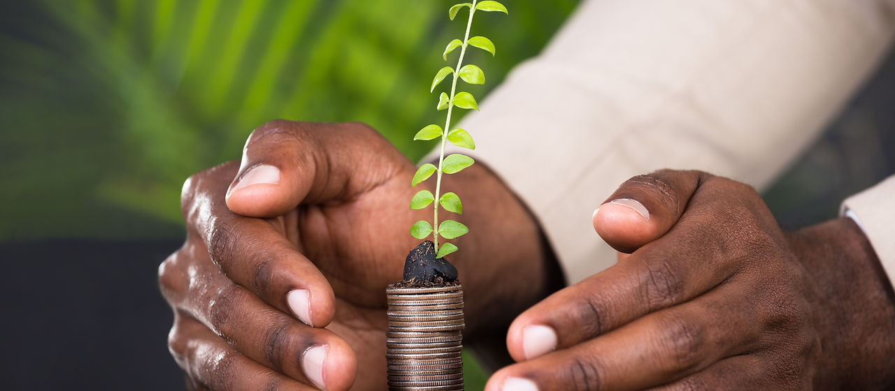Close-up%20Of%20Person's%20Hand%20Protecting%20Sapling%20On%20Stacked%20Coins_edited.jpg