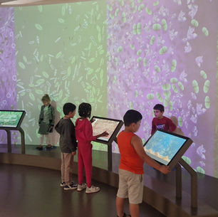 [P1] Au Musée des Sciences Naturelles...