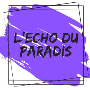 [Article 1] Projets d'écriture en P3C