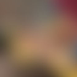 Pardoes, le Festival du Livre en néerlandais