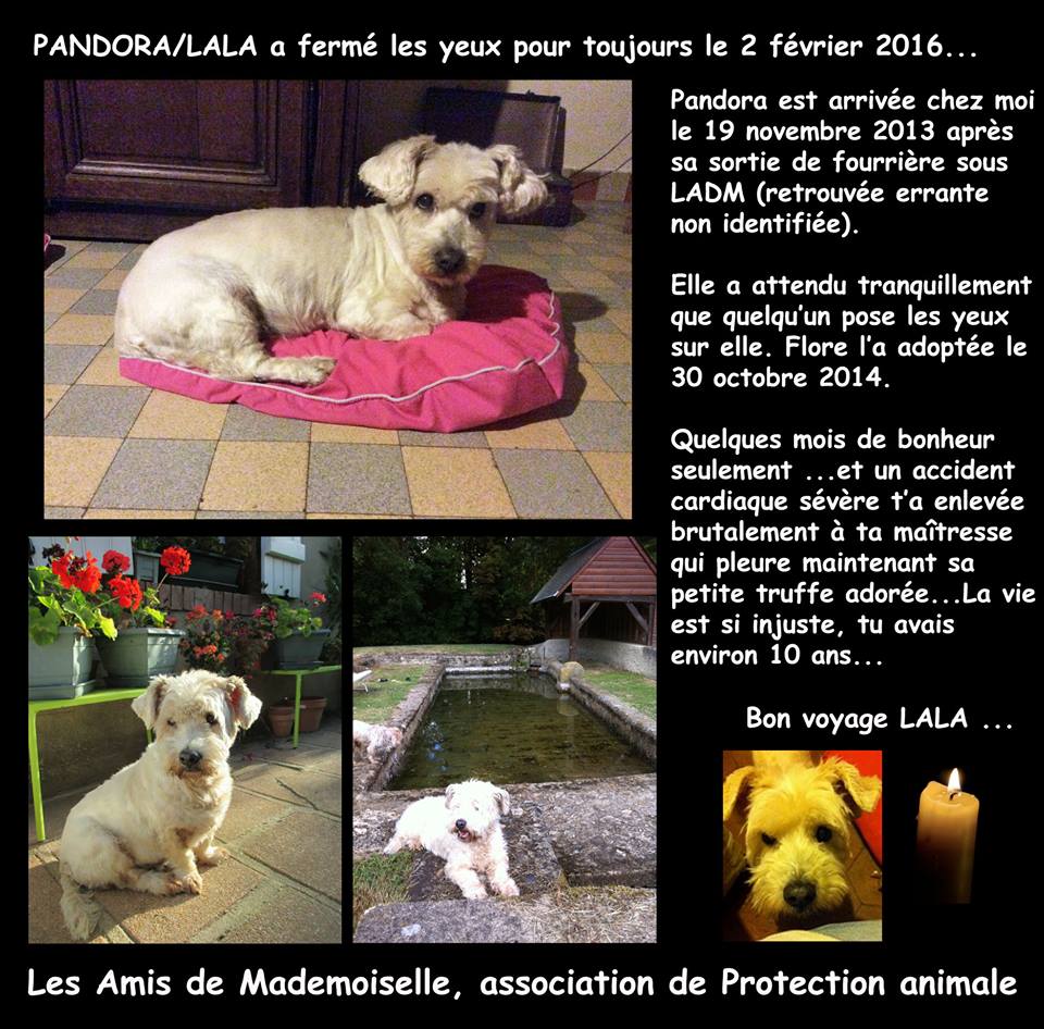 Elle a été adoptée le 30 octobre 2014.