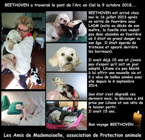 Il a été adopté le 6 septembre 2014.