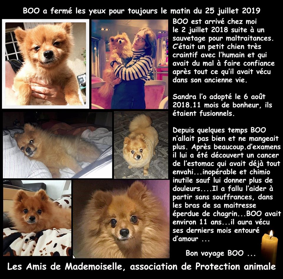 Il a été adopté le 6 août 2018.