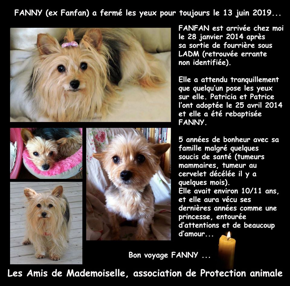 Elle a été adoptée le 25 avril 2014.