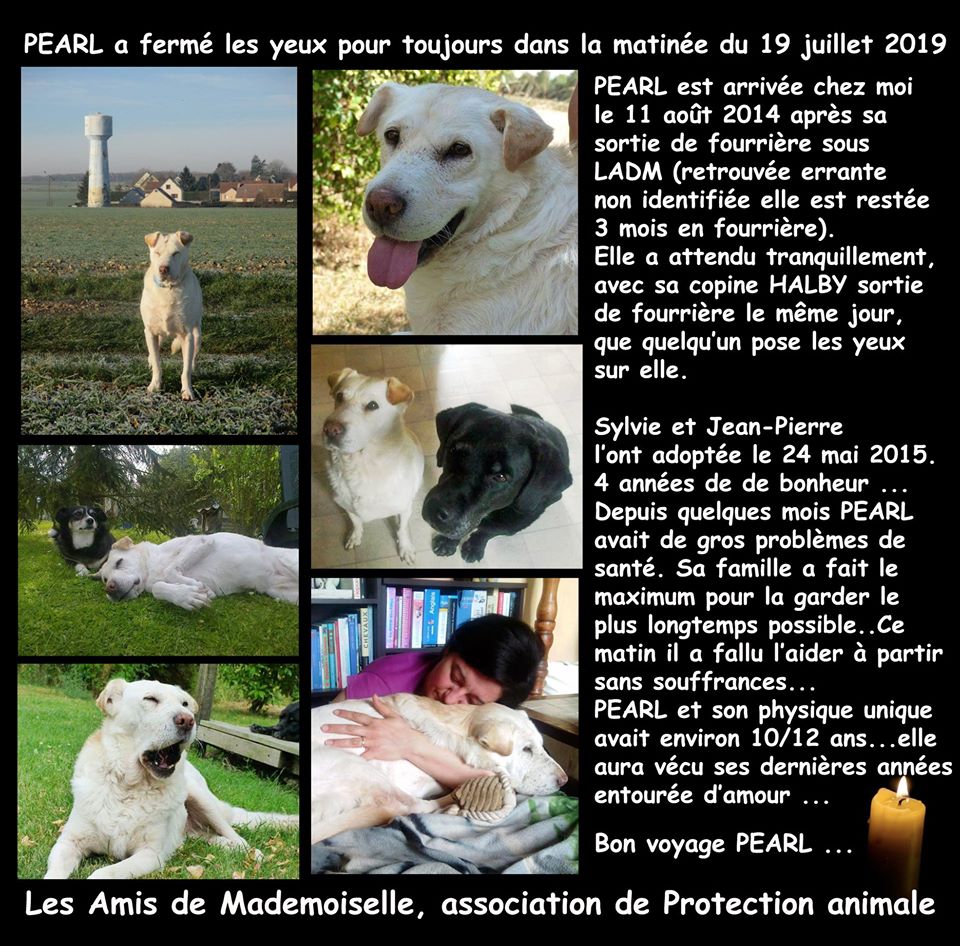 Elle a été adoptée le 24 mai 2015.