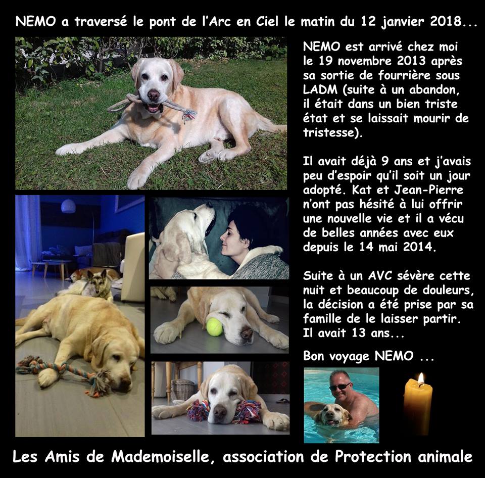 Il a été adopté le 14 mai 2014.