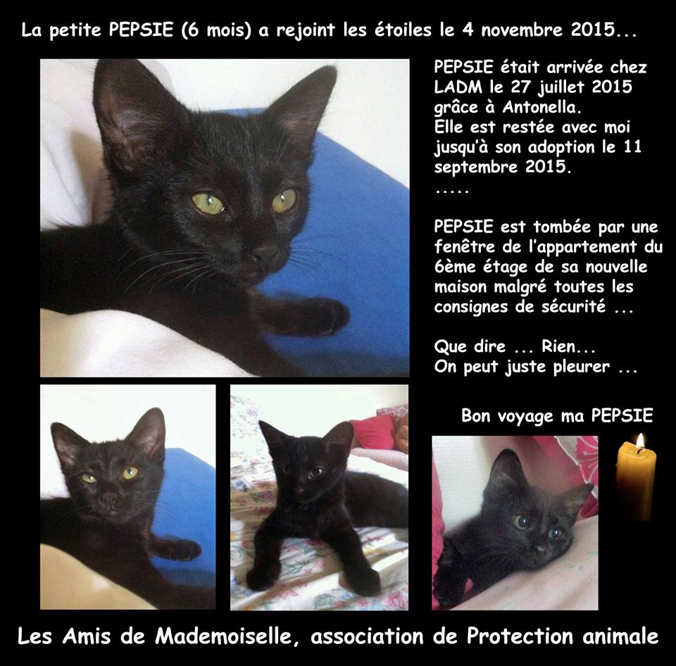 Elle a été adoptée le 11 septembre 2015.