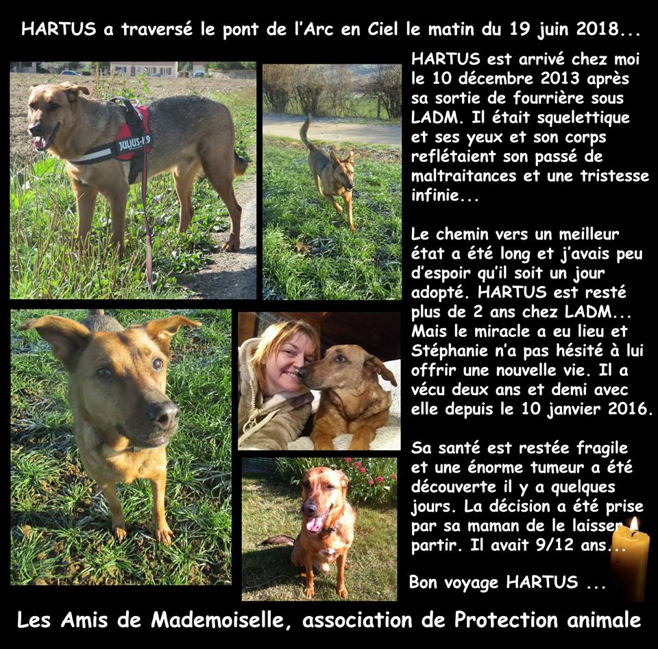 Il a été adopté le 10 janvier 2016.