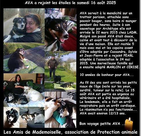 Elle a été adoptée le 24 mai 2015.