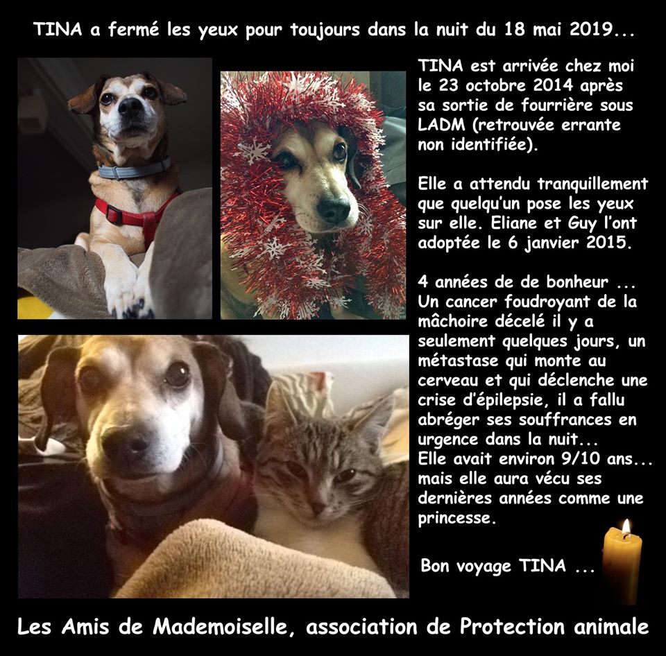 Elle a été adoptée le 6 janvier 2015.