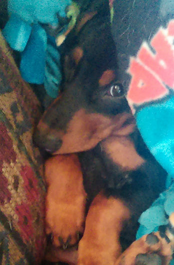 IMAG0080_1.jpg