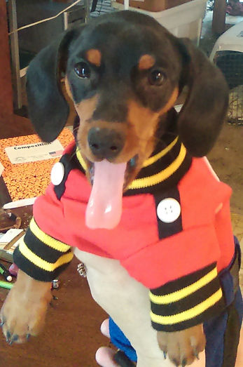 IMAG0048_1.jpg