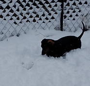 20171208_093541.jpg