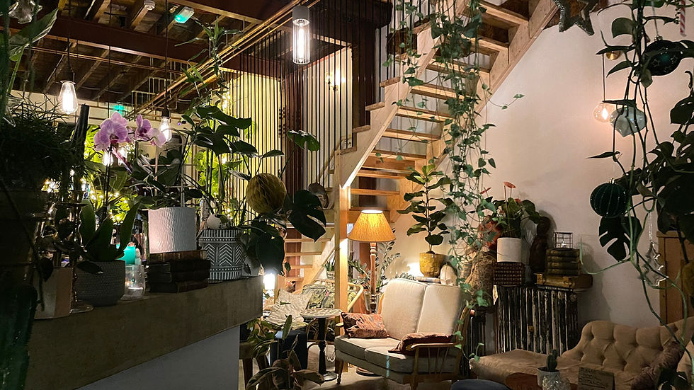 Cool Bar, London Bar, Plants, Peckham Bar