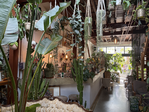 cocktail bar, cocktail masterclass, venue hire, cool bar, cocktail bar