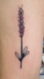 Lavender