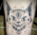 Third Eye Cat