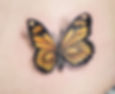 Butterly