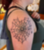 Spider Web