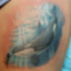 Orca
