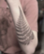 Fern II