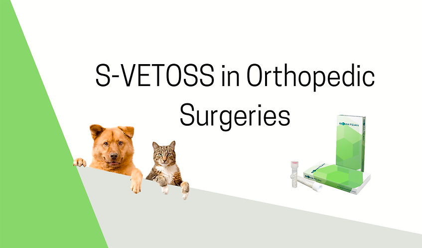 S-VETOSS in orthopedic surgeries_a-travailler23Jan23-1.jpg