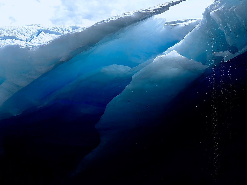 OLS_Scott_Forrest_Brewster's_Depths.jpeg