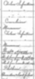 A list of causes of death from 1892 Fall River Massachusetts. Towards the bottom are two people listed as "Axe? Or large hatchet? Shock from assault with an axe?"
