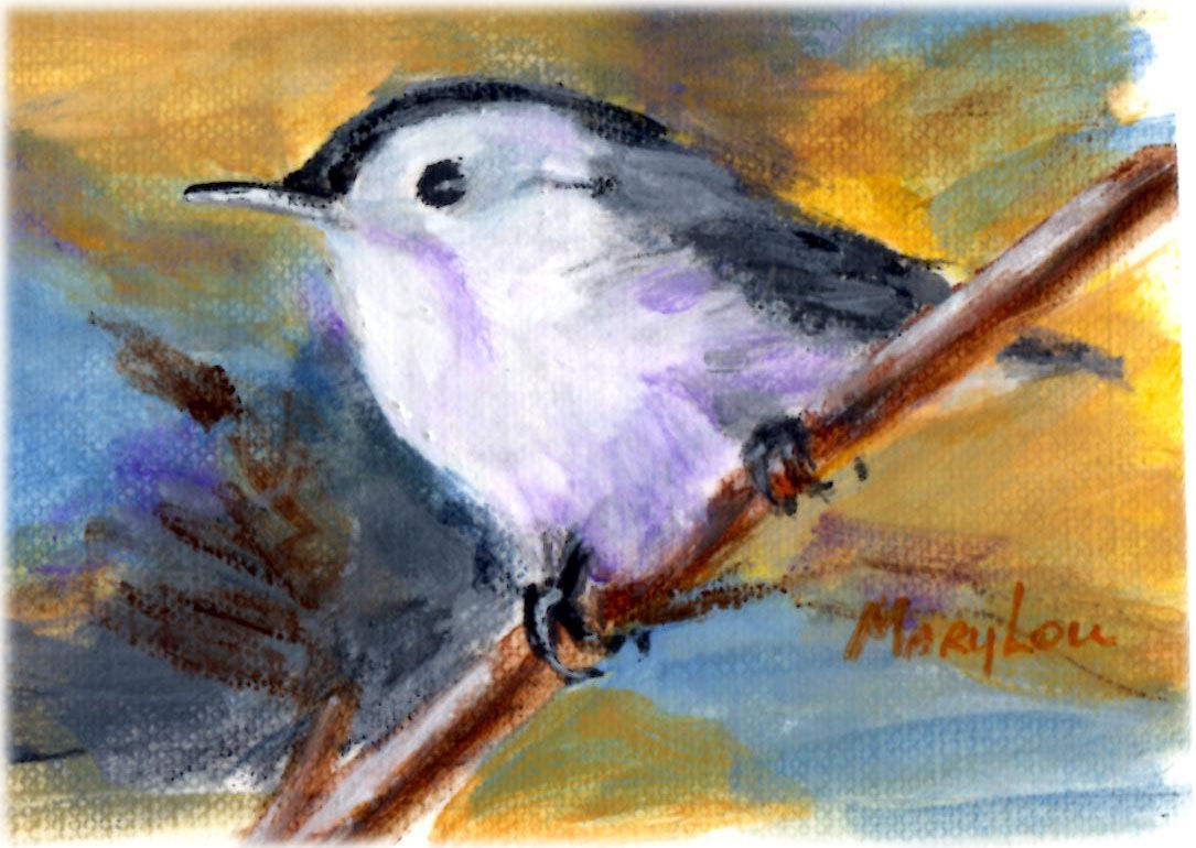 Nuthatch