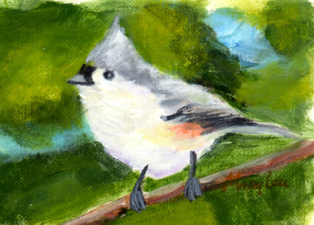 Tufted Titmouse