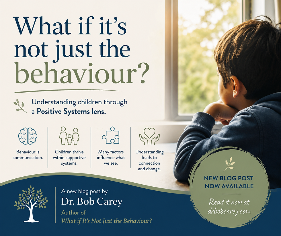 What If It's Not Just the Behaviour? Understanding Children Through a Positive Systems Lens"