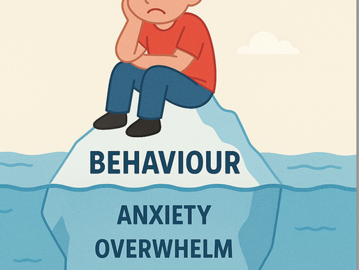 What If It’s Not Just the Behaviour? Rethinking Parenting with the Positive Systems Approach