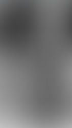 Art Improvement Cycle