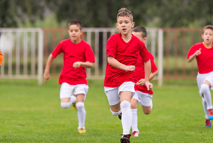 Un groupe d'amis en train de faire du vélo dans la forêt.