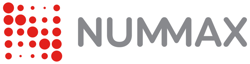 Logo NX Couleur.png