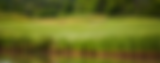 Kaneff-Golf-Royal-Niagara_1920.png