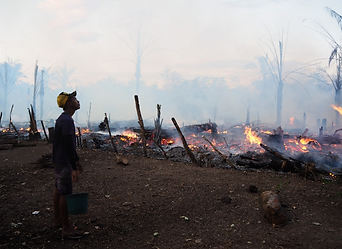 Man looks up at burning forest, smoke, and devastation in the background