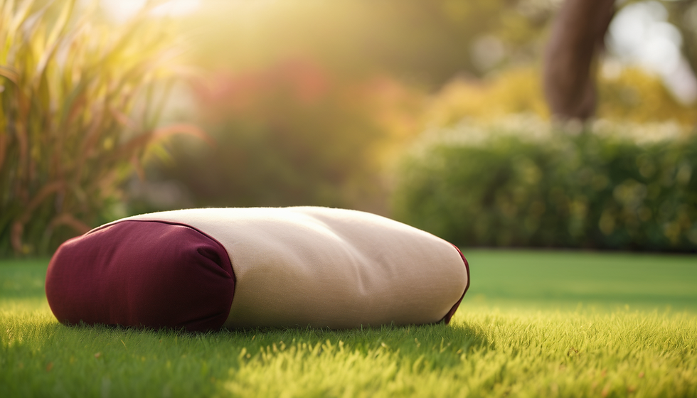 Healing and Growth Workshop with Syndeara