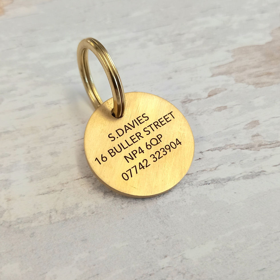 Thumbnail: brass dog tag back view with owner details