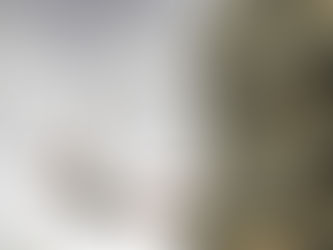 Building Mental Toughness: Business Coaching for Resilience in the New Age