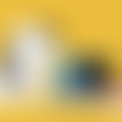 ホームページ開設しました。いよいよNACSCANが始動します！