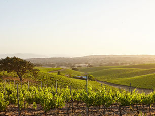 Meet Renewable America at the Annual California Climate and Energy Forum