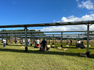 Distributed Energy Infrastructure Joins the Solar and Farming Association to Support Farmer-Centered Dual-Use Solar