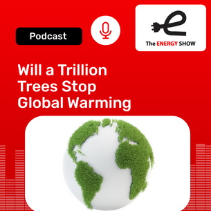 Will a Trillion Trees Stop Global Warming