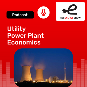 Utility Power Plant Economics