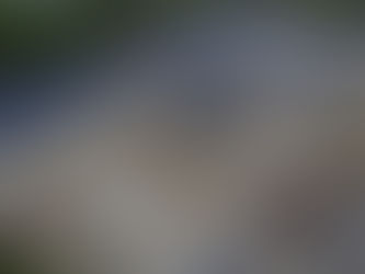 Former EPA Superfund Site Converted to Solar + Storage Plant by Distributed Energy Infrastructure