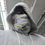 Thumbnail: Virgin Island Flag Color Neck Gaiter (face Sleeve) 4 for $20