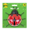 Thumbnail: Insect Wall Art
